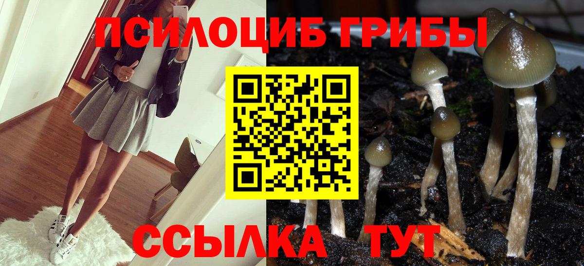 Галлюциногенные грибы мухоморы  Вход с VPN  Галлюциногенные грибы мухоморы  Сердобск 